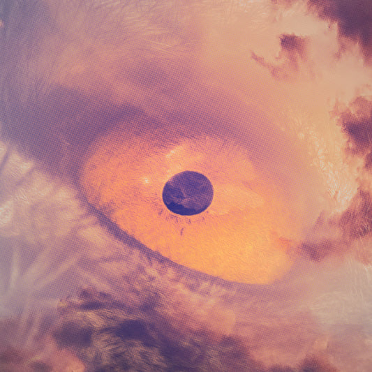 Download "Float Away (Birds Eye)" by The/Theys feat. Ryan Arnold