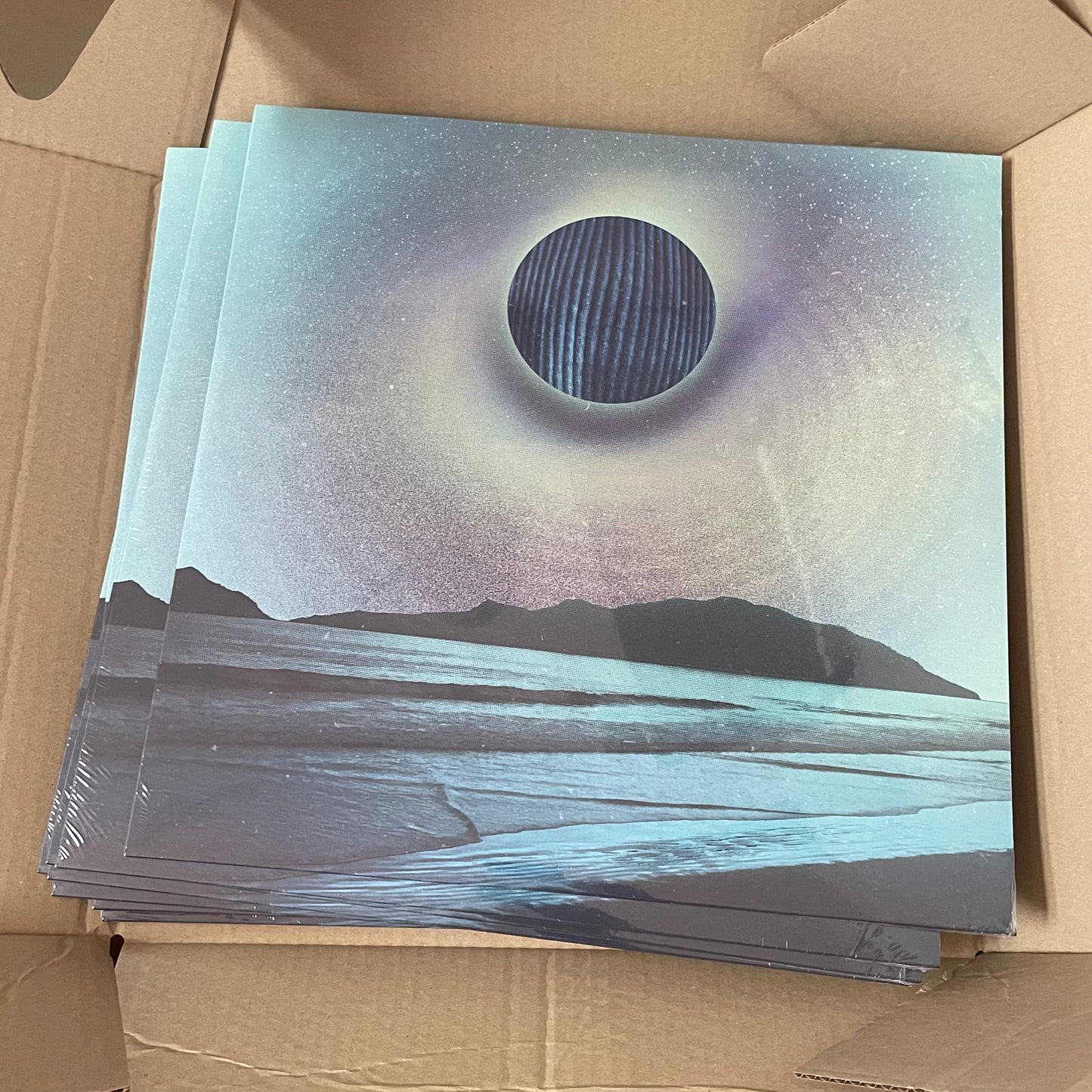 The/Theys 'Corduroy Fantasy' Vinyl LP (180 Gram)