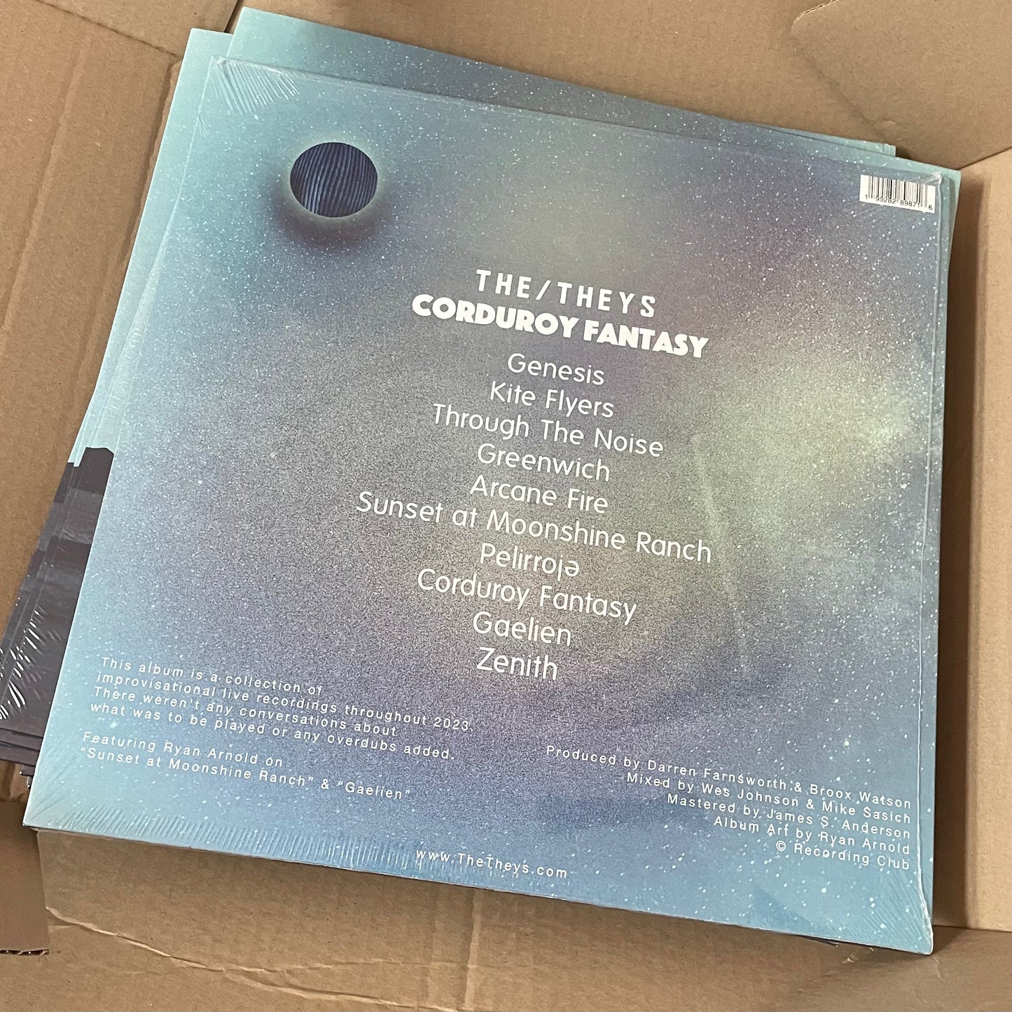 The/Theys 'Corduroy Fantasy' Vinyl LP (180 Gram)